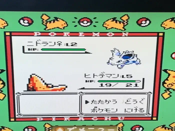 初代ポケモンで努力値マックスにするならニドラン狩り